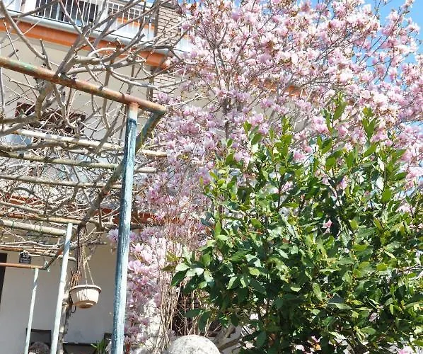 Appartement Mirna *