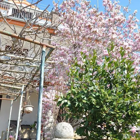 Appartement Mirna *